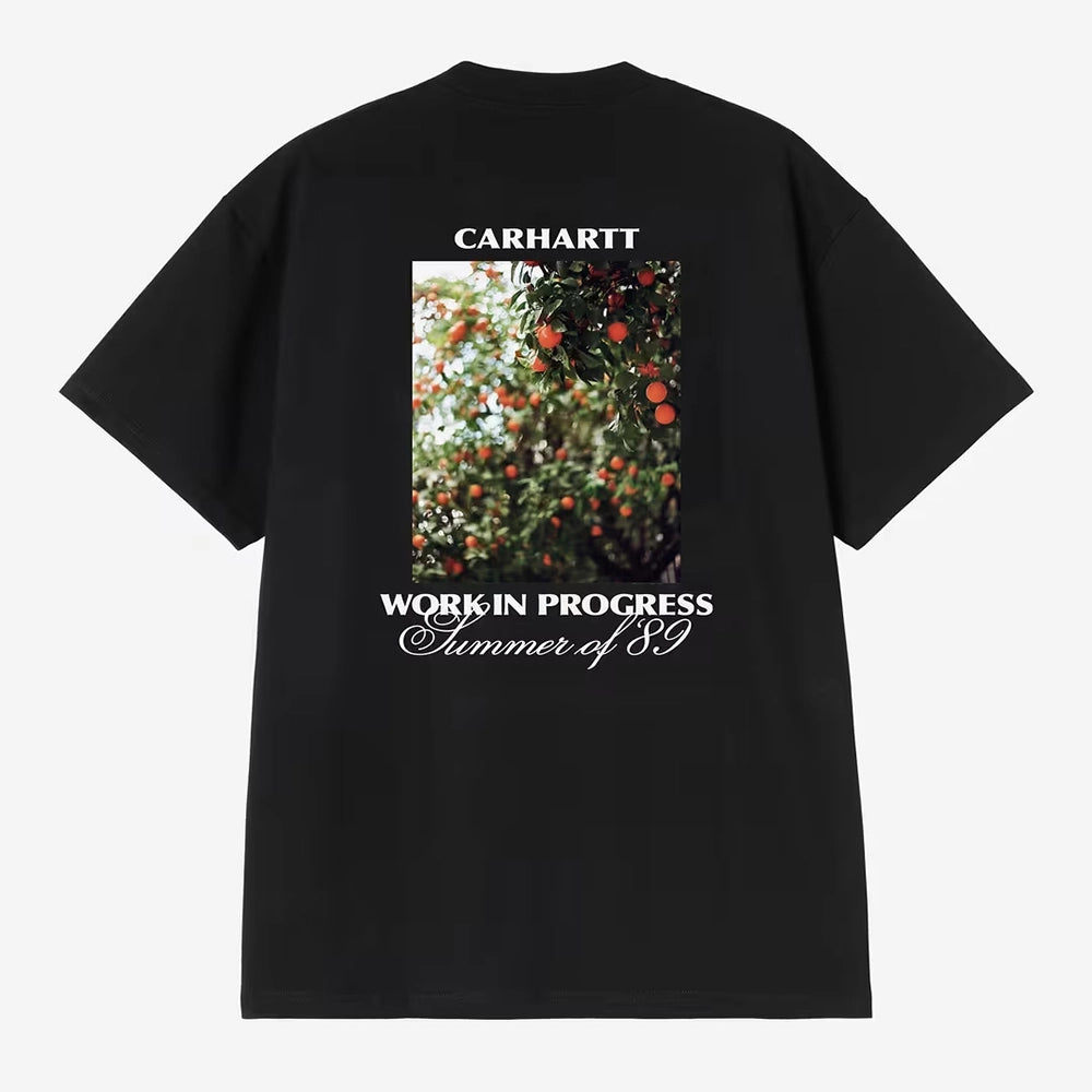 “Carhartt WIP S/S Warm Views T-Shirt in Schwarz, Rückansicht Grafik-Print und aus Baumwolle bei Stickabush.“