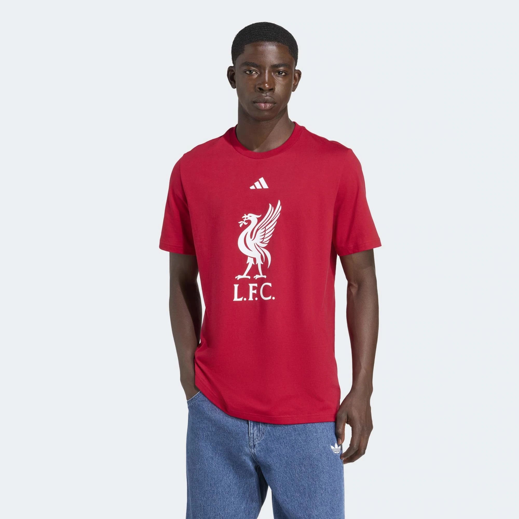 Adidas Liverpool FC DNA Graphic Tee - Strawberry Red
