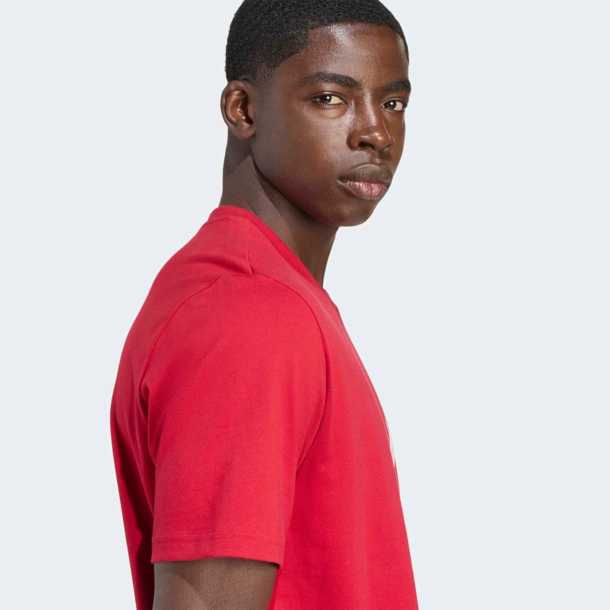 Adidas Liverpool FC DNA Graphic Tee - Strawberry Red