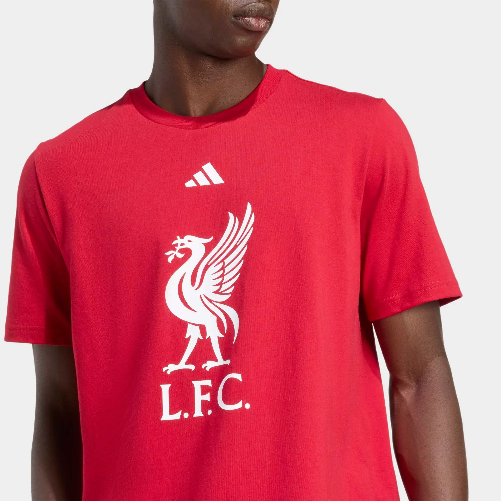 Adidas Liverpool FC DNA Graphic Tee - Strawberry Red